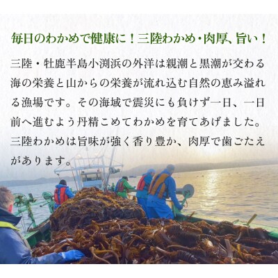 世界三大漁場の恩恵をうけて育った塩蔵わかめ わかめ 三陸わかめ 肉厚 歯応え 茎わかめ (大)