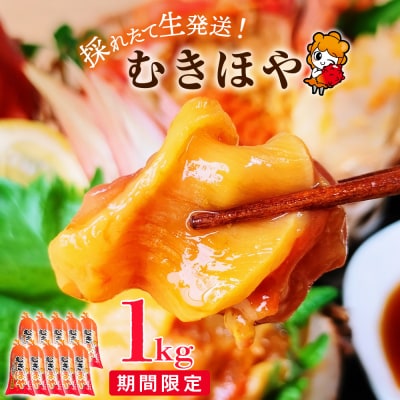 《期間限定》宮城県産 むきほや 1kg (100g×10)ほや 海鞘 お刺身 小分け 石巻市