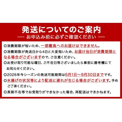 《期間限定》宮城県産 むきほや 1kg (100g×10)ほや 海鞘 お刺身 小分け 石巻市