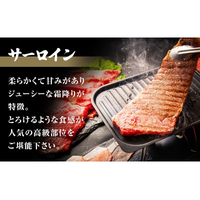 特選 仙台牛 “極” 合計4kg前後 フィレ シャトーブリアン サーロイン A5 黒毛和牛 宮城県
