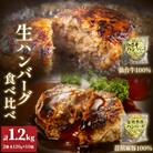 仙台牛 仙台牛100% 荏胡麻豚 えごま豚100% 生ハンバーグ 食べ比べ 120g 各5個