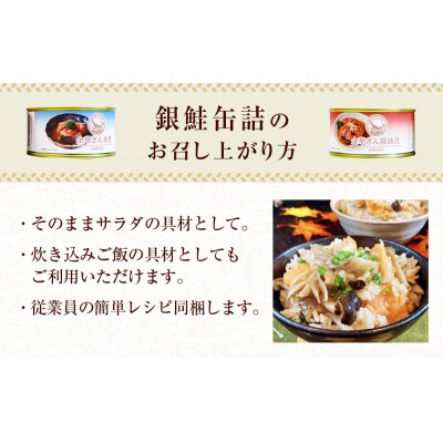銀鮭 缶詰 食べ比べ セット 水煮 醤油煮 さけ しゃけ 鮭 サケ 金華ぎん おかず 便利簡単