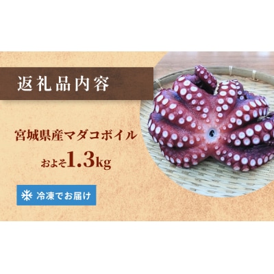 マダコ 煮たこ 石巻港 直送 たこ タコ ボイル 活マダコ 丸ごと おかず おつまみ 