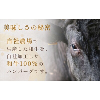 黒毛和牛 三陸金華和牛 南部の赤牛 伊達の赤 和牛ハンバーグ 3種各200g×5 食べ比べ セット