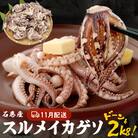 訳あり 石巻産スルメイカゲソ 2kg 11月配送 冷凍 国産 いか 下足 おつまみ ゲソ天 石巻応援