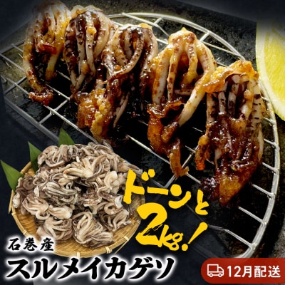 訳あり 石巻産スルメイカゲソ 2kg 12月配送 冷凍 国産 いか 下足 おつまみ ゲソ天 おかず