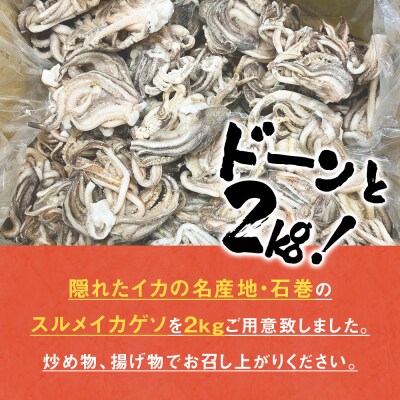 訳あり 石巻産スルメイカゲソ 2kg 12月配送 冷凍 国産 いか 下足 おつまみ ゲソ天 おかず
