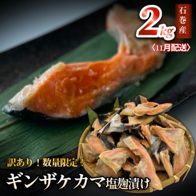 【訳あり/限定】11月配送 ギンザケ カマ 塩麹漬け 石巻産 2kg 銀鮭カマ さけカマ