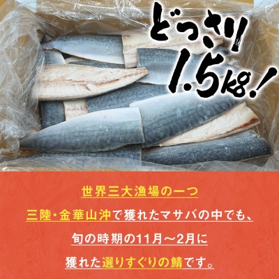 さば 〈 訳あり 〉2月配送 宮城県産 寒さば フィーレ 無塩 1.5kg 冷凍 魚 青魚 鯖