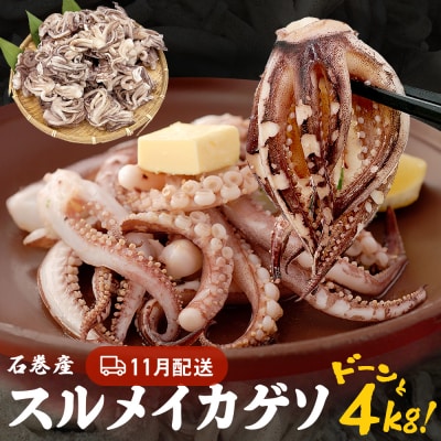 訳あり 石巻産スルメイカゲソ 4kg 11月配送 冷凍 国産 いか 下足 おつまみ ゲソ天 石巻市