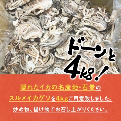訳あり 石巻産スルメイカゲソ 4kg 11月配送 冷凍 国産 いか 下足 おつまみ ゲソ天 石巻応援