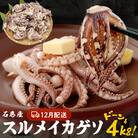 訳あり 石巻産スルメイカゲソ 4kg 12月配送 冷凍 国産 いか 下足 おつまみ ゲソ天 石巻市