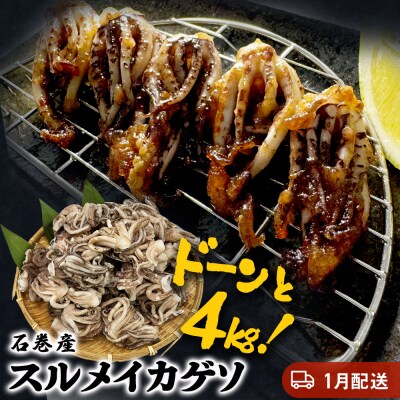 訳あり 石巻産スルメイカゲソ 4kg 1月配送 冷凍 国産 いか 下足 おつまみ ゲソ天 石巻応援