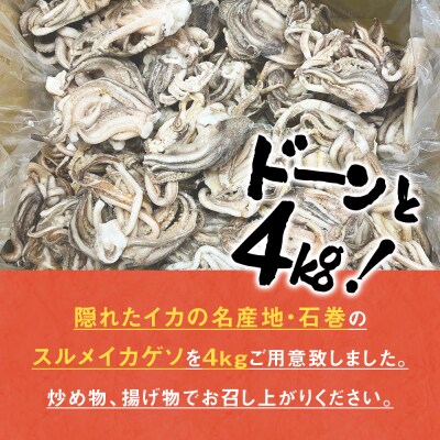 訳あり 石巻産スルメイカゲソ 4kg 1月配送 冷凍 国産 いか 下足 おつまみ ゲソ天 石巻応援