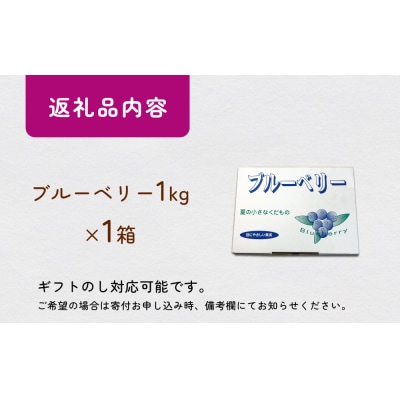 < 先行予約 > ブルーベリー(1kg) 箱入り 生 無農薬 化学肥料不使用摘みたて 冷蔵 大粒
