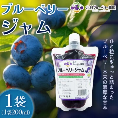 ブルーベリージャム 200ml  無添加 摘みたて 手作り 果実 アントシアニン