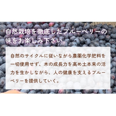 < 先行予約 > ブルーベリージャム 200ml  無添加 摘みたて 手作り 果実 アントシアニン