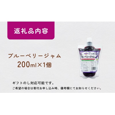< 先行予約 > ブルーベリージャム 200ml  無添加 摘みたて 手作り 果実 アントシアニン