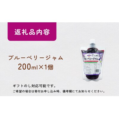ブルーベリージャム 200ml  無添加 摘みたて 手作り 果実 アントシアニン