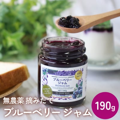 < 先行予約 > ブルーベリージャム 190g  無添加 摘みたて 手作り 果実 アントシアニン