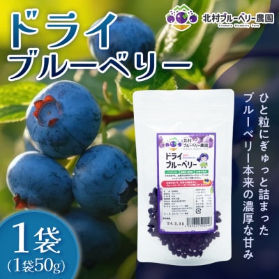 ドライブルーベリー 50g 無添加 摘みたて 砂糖不使用 ドライフルーツ