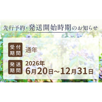 < 先行予約 > ドライブルーベリー 50g 無添加 摘みたて 砂糖不使用 ドライフルーツ