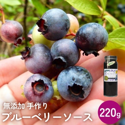 < 先行予約 > ブルーベリーソース 220g 無添加 手作り フルーツソース 果実 さっぱり