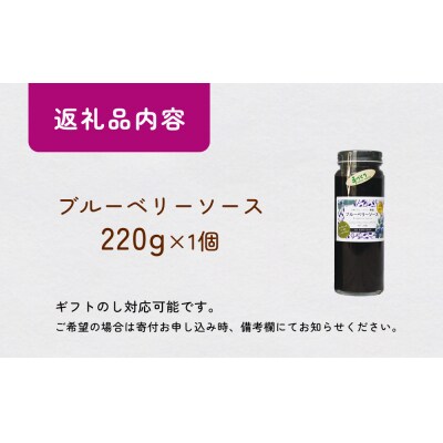 < 先行予約 > ブルーベリーソース 220g 無添加 手作り フルーツソース 果実 さっぱり