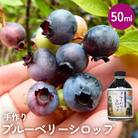 ブルーベリー シロップ50ml 手作り 果汁 フルーツ かき氷 カクテル アレンジ