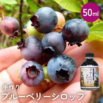 < 先行予約 > ブルーベリー シロップ50ml 手作り 果汁 フルーツ かき氷 カクテル アレンジ