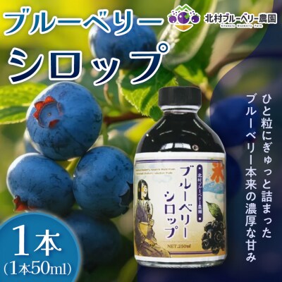 ブルーベリー シロップ50ml 手作り 果汁 フルーツ かき氷 カクテル アレンジ