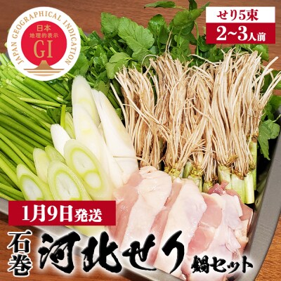 【1月9日発送】せり鍋 セット 2-3人前 せり 長ねぎ パックご飯 スープ 鶏肉 セリ セリ鍋
