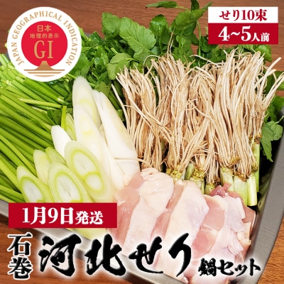 【1月9日発送】せり鍋 セット 4-5人前 せり 長ねぎ パックご飯 スープ 鶏肉 セリ セリ鍋