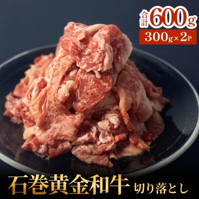 牛肉 石巻 黄金 和牛 切り落とし 300g×2P 赤身 国産 美味しい 使いやすい 小分け 肉