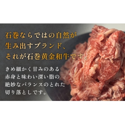牛肉 石巻 黄金 和牛 切り落とし 300g×3P 赤身 国産 美味しい 使いやすい 小分け 肉