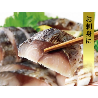 【訳あり】国産あぶりしめさば4枚入　2パック しめ鯖 冷凍 無着色 サバ お刺身 お寿司 おかず 