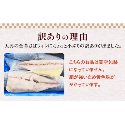 訳あり　2L金華さばフィレ 10枚 冷凍 鯖 サバフィレ 骨取り 焼き魚 煮物 切り身