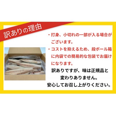 不揃い 訳あり無添加さば酒汐漬け半身( どっさり 2.5kg ) サバ 鯖 冷凍 おかず 簡単調理