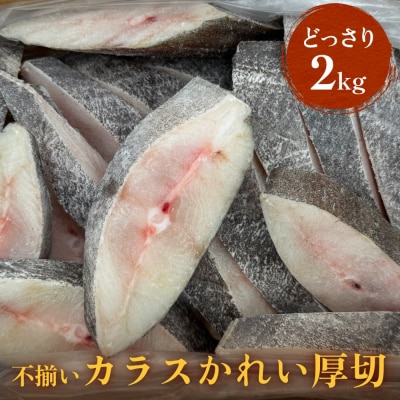 不揃い 訳ありカラスかれい厚切( どっさり 2kg )カレイ 冷凍 おかず 切身 煮魚 焼き魚