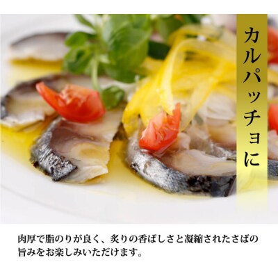 国産あぶりしめさば　6パック しめ鯖 冷凍 炙りサバ お刺身 お寿司 おかず 美味しい
