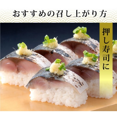 国産あぶりしめさば　12パック しめ鯖 冷凍 炙りサバ お刺身 お寿司 おかず 美味しい