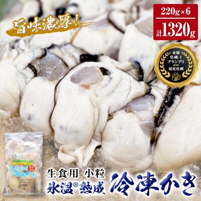 氷温熟成 冷凍かき ( 生食用 ) 小粒 220g× 6p 牡蠣 カキ むき身 サロマ まるたか水産