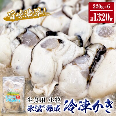 氷温熟成 冷凍 かき ( 生食用 ) 小粒 220g× 6p 牡蠣 まるたか水産