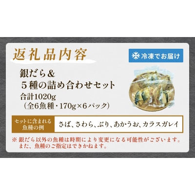 西京漬 銀だら セット 6種 漬魚 漬け 西京焼 銀鱈 ぎんだら 味噌 魚 冷凍 おかず 石巻市