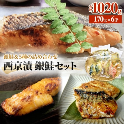 西京漬 銀鮭セット6種 漬魚 漬け 西京焼 銀ざけ 鮭 ぎんざけ さけ サケ 味噌 冷凍 石巻市