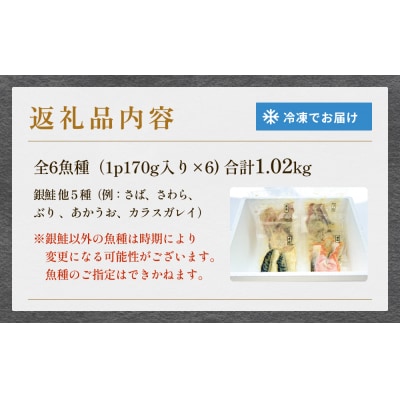 西京漬 銀鮭セット6種 漬魚 漬け 西京焼 銀ざけ 鮭 ぎんざけ さけ サケ 味噌 冷凍 石巻市