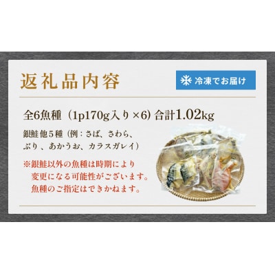 西京漬 銀鮭セット6種 漬魚 漬け 西京焼 銀ざけ 鮭 ぎんざけ さけ サケ 味噌 冷凍 石巻市
