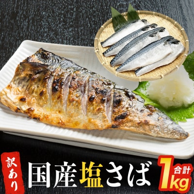 訳あり 塩サバフィーレ 1kg (10枚前後) 鯖 冷凍 不揃い 魚 お魚  おかず お弁当