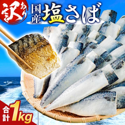 訳あり 塩サバフィーレ 1kg (10枚前後) 鯖 冷凍 不揃い 魚 お魚  おかず お弁当