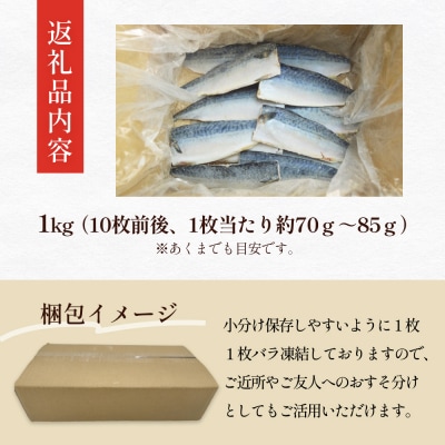 訳あり 塩サバフィーレ 1kg (10枚前後) 鯖 冷凍 不揃い 魚 お魚  おかず お弁当